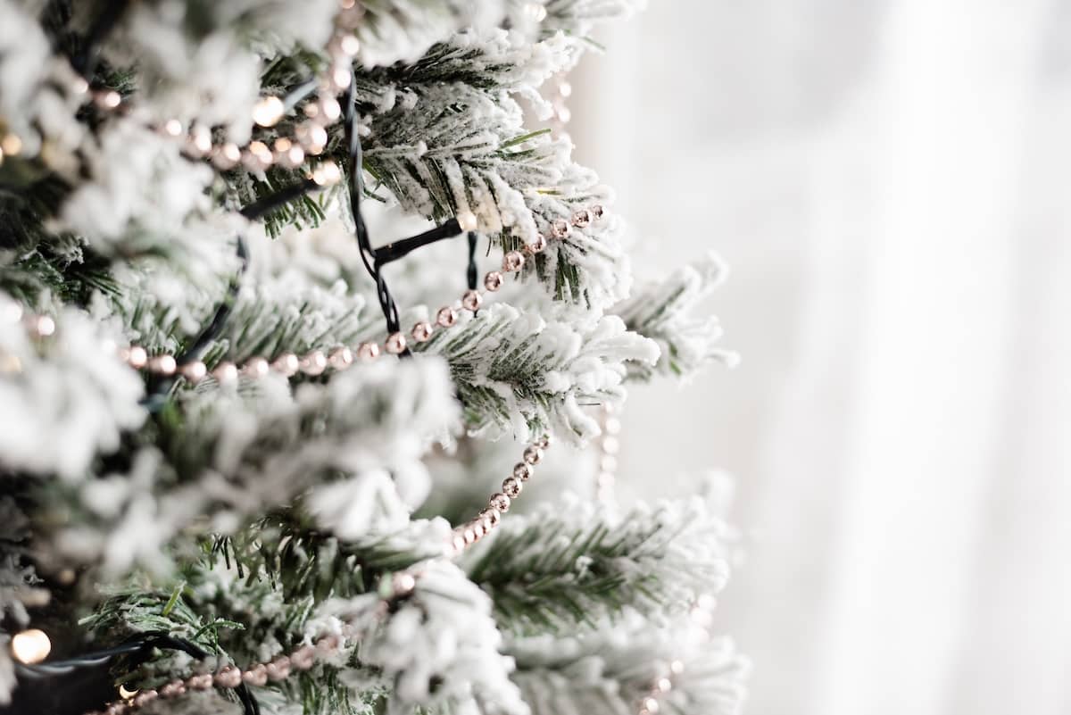 Christmas tree - Christmas activities.